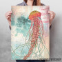 Jellyfish Jellyfish