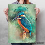 Kingfisher
