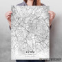 Lion mapa - white