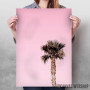 Lonely Palm