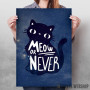 Meow or never