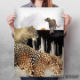 Minimal Leopards Minimal Leopards
