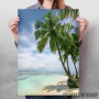 Palm Beach Paradise Palm Beach Paradise