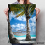 Palm Beach With Hammock Palm Beach With Hammock