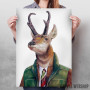 Pronghorn Deer Pronghorn Deer