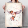 Rufous The Hummingbird