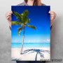 Sandy Palm Beach At Sea