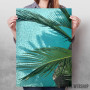 Summer Palm Summer Palm