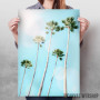 Summer Palms