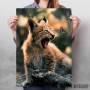 The Lynx Cub and Butterfly The Lynx Cub and Butterfly