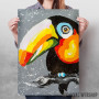 Toucan 2