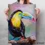 Toucan bird