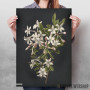 Vintage illustration of flowers Vintage illustration of flowers