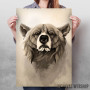 Wild Animals Wild Animals