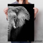 Wild Elephant head Wild Elephant head