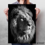 black lion king
