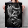 wild gorilla wild gorilla