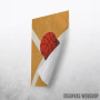 Basketball Indoor 2