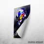 David Coulthard F1 David Coulthard F1