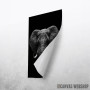 Elephant head art