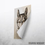 Husky