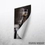 Knight Templar