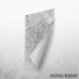 Lion mapa - white