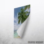 Palm Beach Paradise Palm Beach Paradise