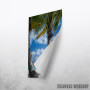 Palm Beach With Hammock Palm Beach With Hammock