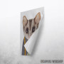 Possum