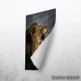Roar wild lion