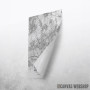 Roterdam mapa - white