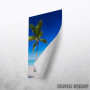 Sandy Palm Beach At Sea