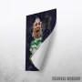 Scott Brown