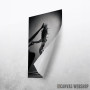 Shadows against the wall