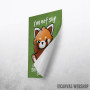 Shy red panda