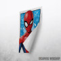 Spider-Man Spider-Man