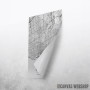 Toronto mapa - white Toronto mapa - white