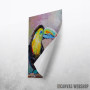 Toucan bird