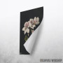 Vintage illustration of flowers 2 Vintage illustration of flowers 2