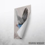 icarus