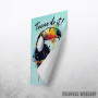 toucan do it