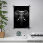 Elephant head art