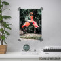 Flamingos Flamingos