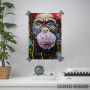 I m chimp