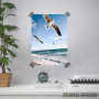 Seagull