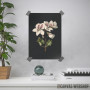 Vintage illustration of flowers 2 Vintage illustration of flowers 2