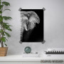 Wild Elephant head Wild Elephant head
