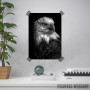 wild eagle head wild eagle head