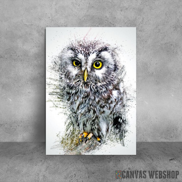 Little owl Little owl